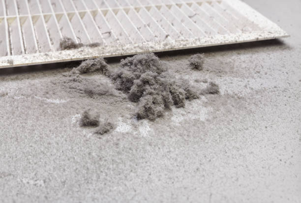 Home Air Vent Cleaning in Bright, IN