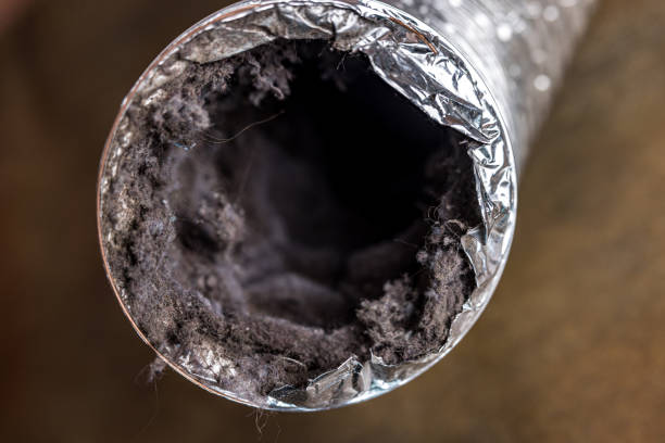 Best HVAC Duct Inspection Services  in Bright, IN